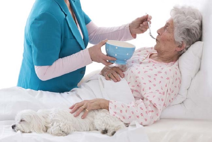 Bedridden Patient Care Service In Jor Bagh